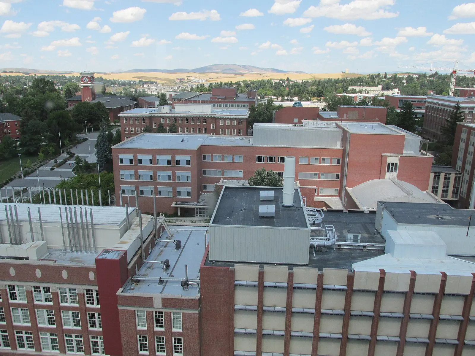 Elevated view across Washington State University’s Pullman campus toward brick buildings and surrounding hills