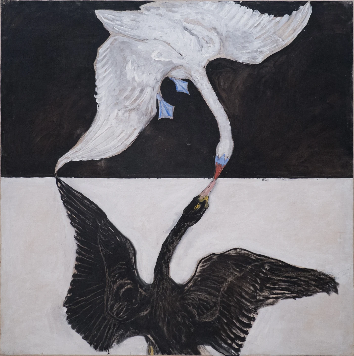 Black and white swans face one another across a divided field, their long necks approaching at the centre